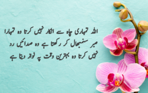 Islamic Quotes in Urdu for Dp