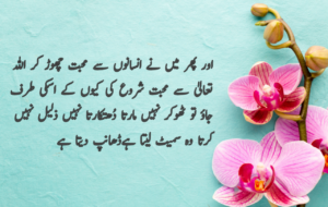 Islamic Quotes in Urdu for Dp