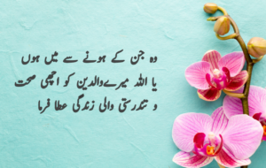 Islamic Quotes in Urdu for Dp