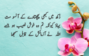 Islamic Quotes in Urdu for Dp