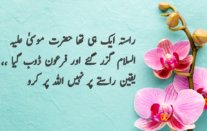 Islamic Quotes in Urdu for Dp