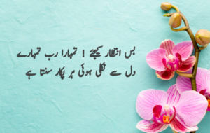 Islamic Quotes in Urdu for Dp