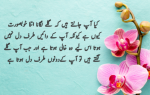 Islamic Quotes in Urdu for Dp