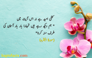 Islamic Quotes in Urdu for Dp