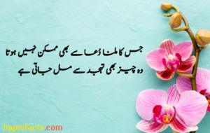 Islamic Quotes in Urdu for Dp