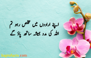 Islamic Quotes in Urdu for Dp