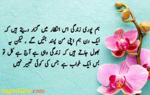 Islamic Quotes in Urdu for Dp