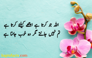 Islamic Quotes in Urdu for Dp