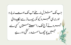 Quotes in Urdu about Life Reality