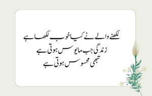 Quotes in Urdu about Life Reality