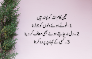 Emotional Quotes on Husband Wife Relationship in Urdu