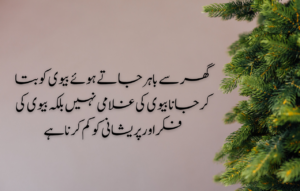 Emotional Quotes on Husband Wife Relationship in Urdu