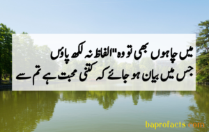 Urdu Poetry 2 Lines 