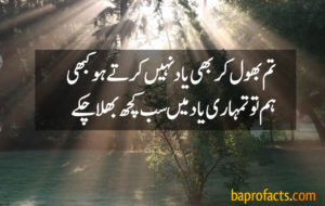 Poetry in Urdu 2 Lines