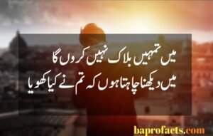 Attitude Poetry in Urdu