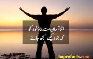 Attitude Poetry in Urdu