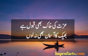 Attitude Poetry in Urdu