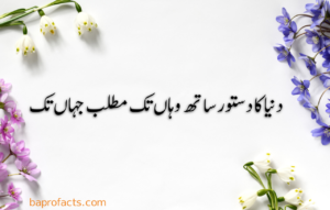 Urdu Quotes about Life