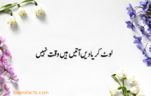 Urdu Quotes about Life