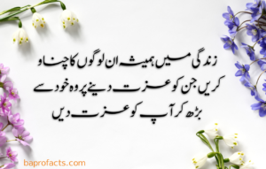 Urdu Quotes about Life