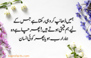 Urdu Quotes about Life