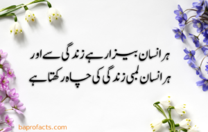 Urdu Quotes about Life