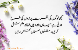 Urdu Quotes about Life