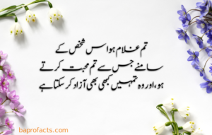 Urdu Quotes about Life