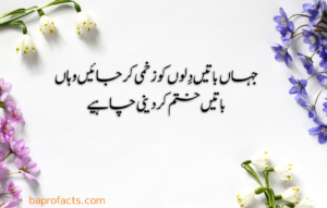 Urdu Quotes about Life