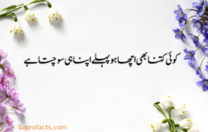 Urdu Quotes about Life