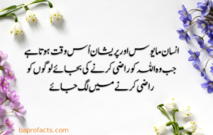 Urdu Quotes about Life