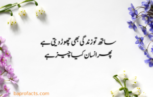 Urdu Quotes about Life