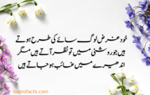 Urdu Quotes about Life