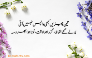 Urdu Quotes about Life