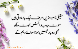 Urdu Quotes about Life