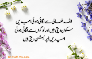 Urdu Quotes about Life