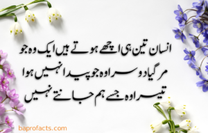 Urdu Quotes about Life