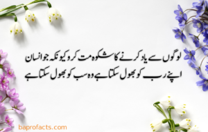 Urdu Quotes about Life