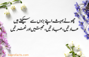 Urdu Quotes about Life