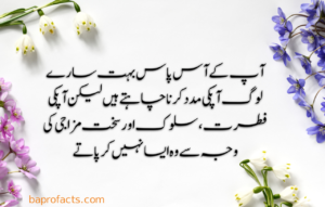 Urdu Quotes about Life