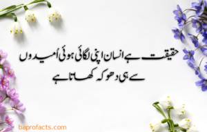 Urdu Quotes about Life