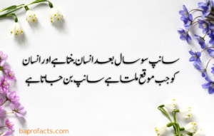 Urdu Quotes about Life