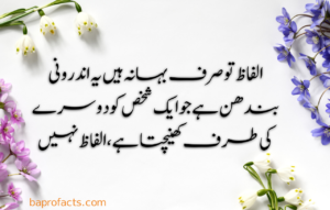 Urdu Quotes about Life