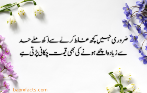 Urdu Quotes about Life