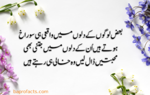 Urdu Quotes about Life