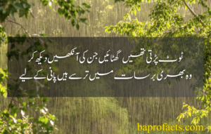 Rain Urdu Poetry