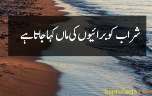 Basic Islamic information in Urdu