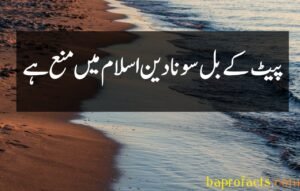 Basic Islamic information in Urdu