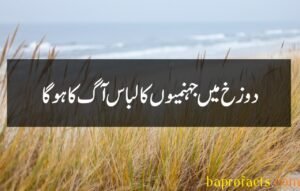 Basic Islamic information in Urdu