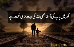 Father Quotes in Urdu 